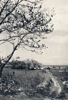 Near Sligo looking toward the Darty Mountains